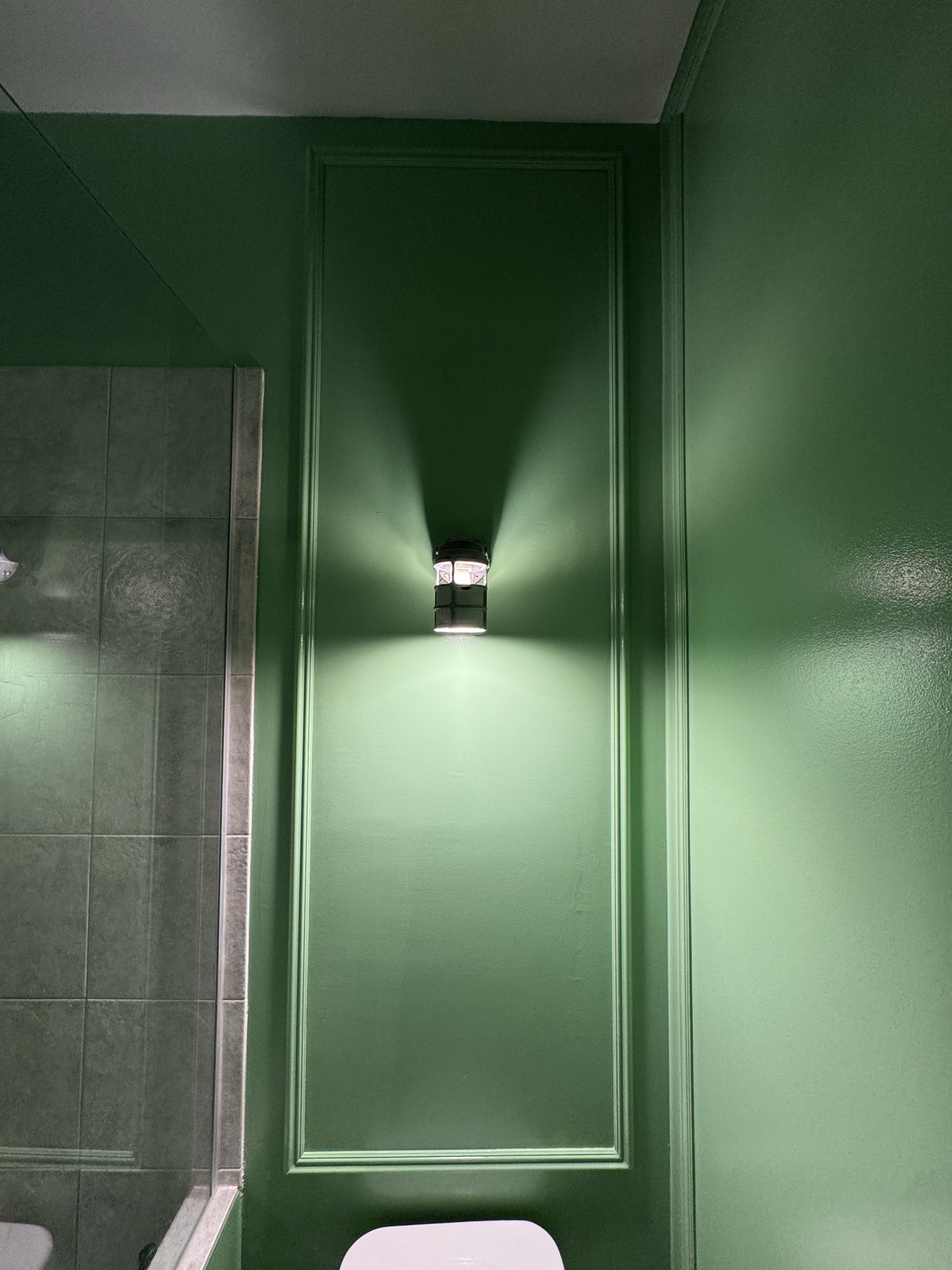 Emerald green bathroom with full-height picture-frame wall moulding and a sculptural wall light